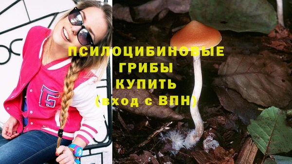 кристаллы Осинники