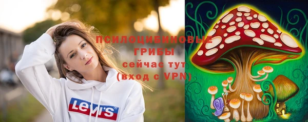 мдпв Остров