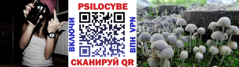 Псилоцибиновые грибы GOLDEN TEACHER  дарнет шоп  Асбест 
